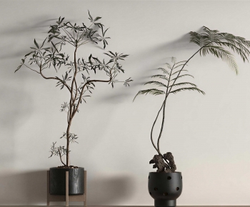 Modern Ground Green Plant Potted Plants-ID:626271019