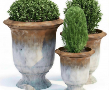 Modern Ground Green Plant Potted Plants-ID:126261952