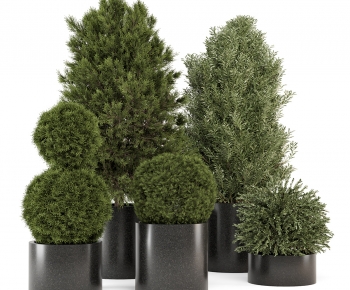 Modern Flower Bed, Flower Bowl, Flower Box-ID:165483957