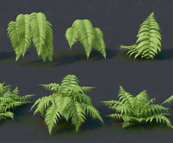 Modern The Grass-ID:485235935