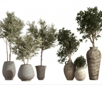 Wabi-sabi Style Ground Green Plant Potted Plants-ID:634730102