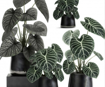 Modern Ground Green Plant Potted Plants-ID:935900234