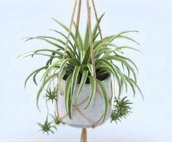 Modern Potted Green Plant-ID:848428012