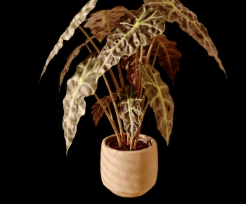 Modern Potted Green Plant-ID:106771055