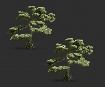 Modern Tree-ID:905328044