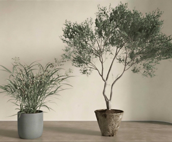 Wabi-sabi Style Ground Green Plant Potted Plants-ID:130768065