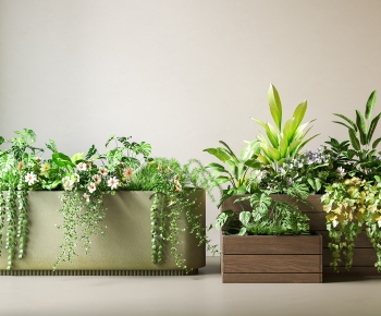 Modern Flower Bed, Flower Bowl, Flower Box-ID:261914017