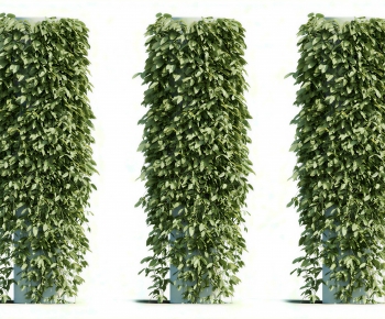 Modern Vine-ID:227749321
