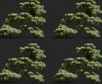 Modern Tree-ID:955420029