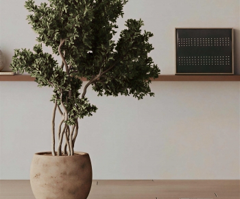 Modern Ground Green Plant Potted Plants-ID:567804105