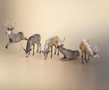 Modern Mammal-ID:895640963