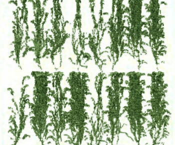 Modern Vine-ID:694139001