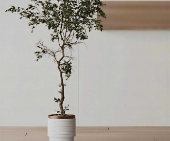 Modern Ground Green Plant Potted Plants-ID:772932056