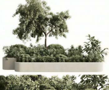 Modern Flower Bed, Flower Bowl, Flower Box-ID:193151008
