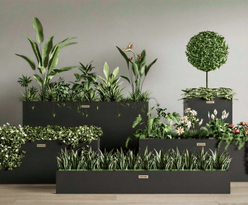 Modern Flower Bed, Flower Bowl, Flower Box-ID:696218974