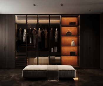 Modern Clothes Storage Area-ID:264498958