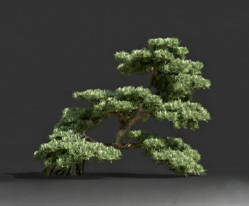 Modern Tree-ID:550046923
