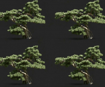Modern Tree-ID:204725988