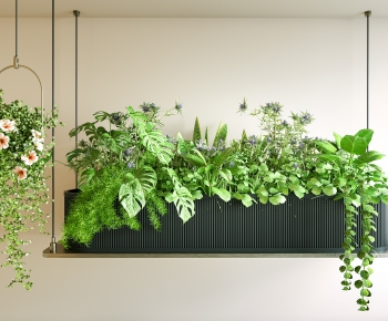 Modern Plant Landscaping-ID:105409689