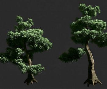 Modern Tree-ID:846133958