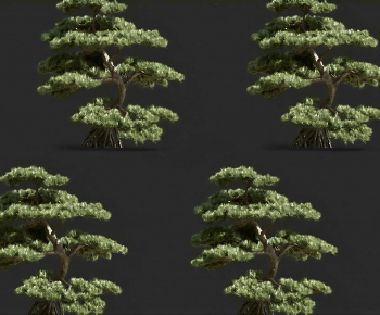 Modern Tree-ID:290463923