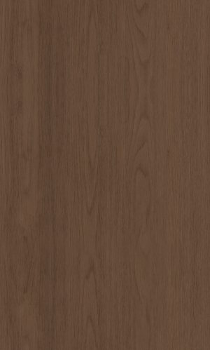 ModernWood Texture