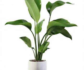 Modern Ground Green Plant Potted Plants-ID:506079916