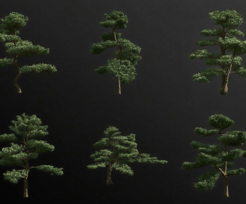 Modern Tree-ID:898614882