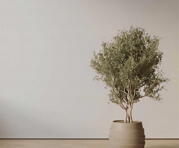 Modern Ground Green Plant Potted Plants-ID:609910962