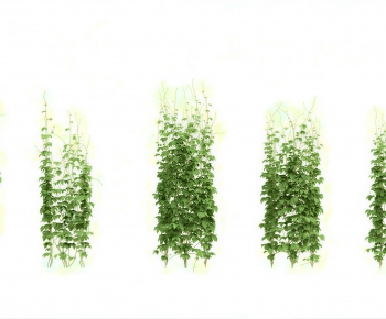 Modern Plant Wall-ID:746196035