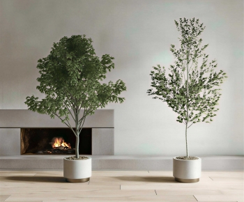 Modern Ground Green Plant Potted Plants-ID:982721099