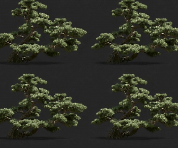 Modern Tree-ID:461970092
