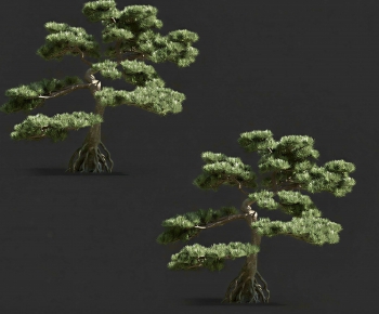 Modern Tree-ID:615881921