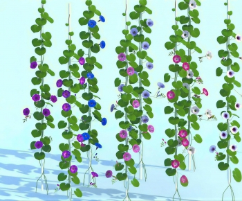 Modern Vine-ID:236823084