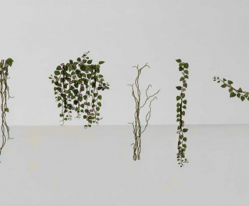 Modern Vine-ID:175991197