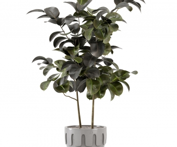 Modern Ground Green Plant Potted Plants-ID:821407088