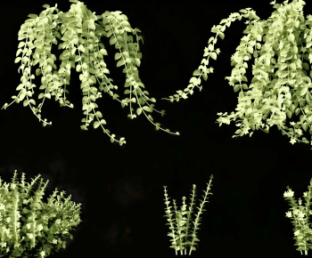 Modern Vine-ID:109689001