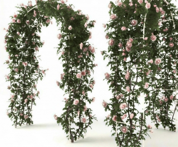 Modern Vine-ID:693067079