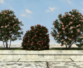 Modern Shrubbery-ID:303220795