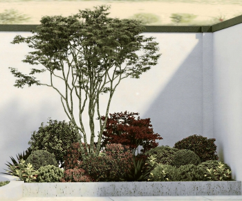 Modern Plant Landscaping-ID:257926942