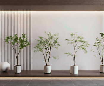 Modern Ground Green Plant Potted Plants-ID:976876973