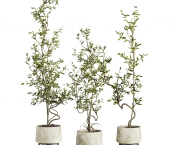 Modern Ground Green Plant Potted Plants-ID:444523105
