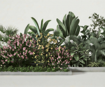 Modern Plant Pile-ID:239350814