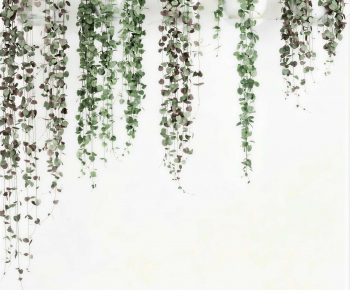 Modern Vine-ID:960618975