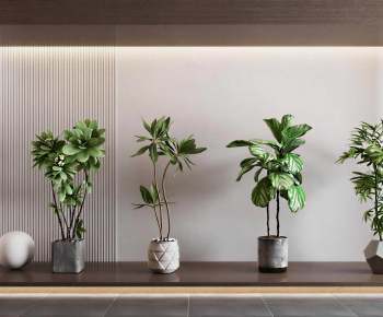 Modern Ground Green Plant Potted Plants-ID:365314968
