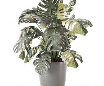 Modern Ground Green Plant Potted Plants-ID:339310887