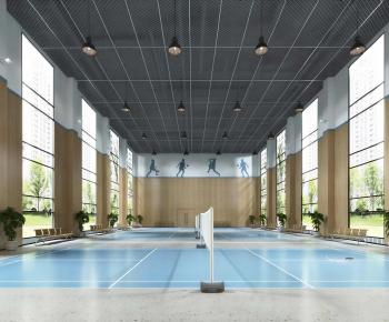 Modern Indoor Badminton Court-ID:209245921