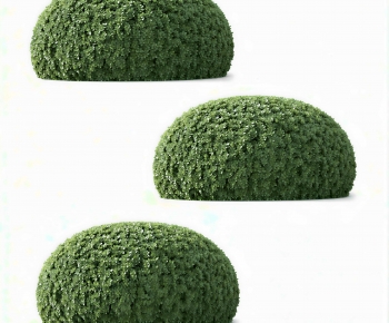 Modern Shrubbery-ID:218862062