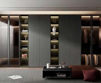 Modern Clothes Storage Area-ID:323082925