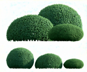 Modern Shrubbery-ID:535868881